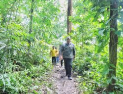 Jajal Trek Lari Lintas Alam Bukit Lawang di Langkat, Menpora Dito: Sangat Berpotensi