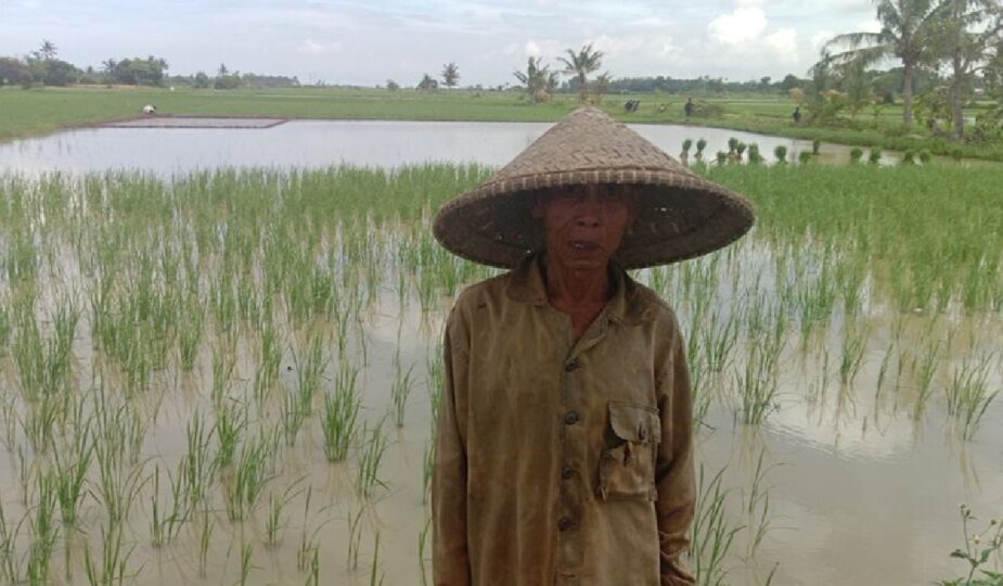 Petani mengeluh